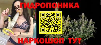 СК Лесосибирск