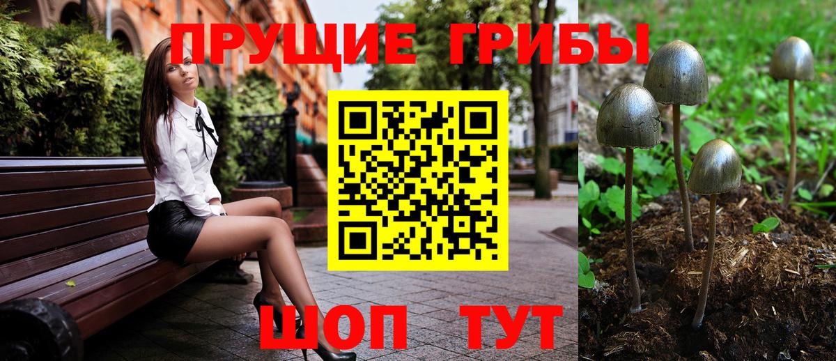 Галлюциногенные грибы мицелий  Псилоцибиновые грибы Psilocybe  Вход с VPN  купить наркотики цена  Губкин 