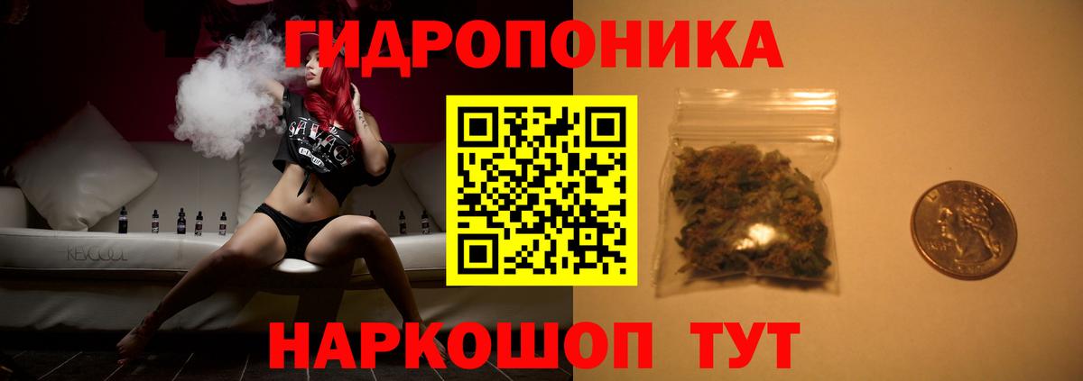 Шишки марихуана марихуана Губкин